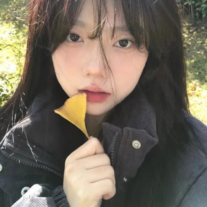 憨妻的都市日记